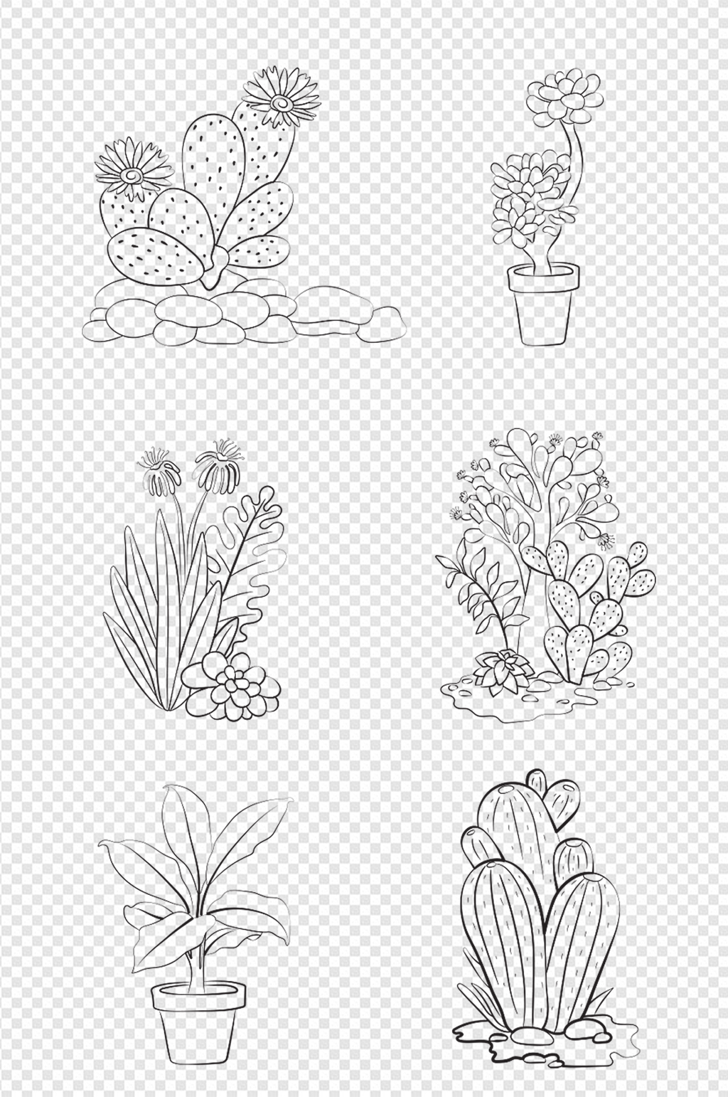 植物手绘线稿 简单图片