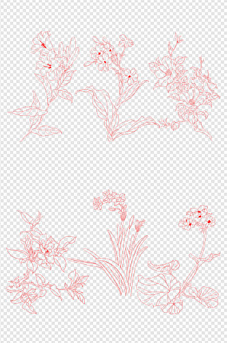 手绘白描花卉元素