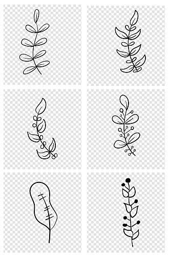 手绘叶子线描植物