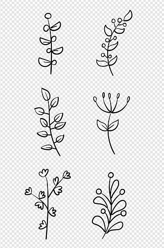 叶子植物线描装饰