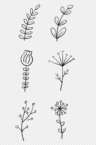 叶子植物线描装饰素材
