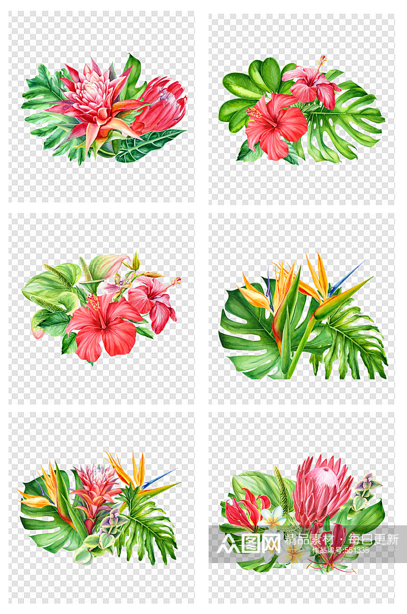 水彩画热带花朵植物叶子素材