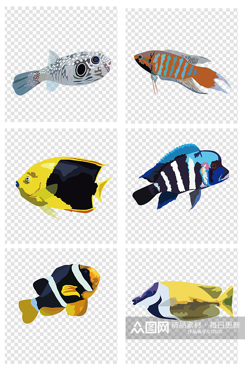 手绘海洋热带鱼装饰插图素材