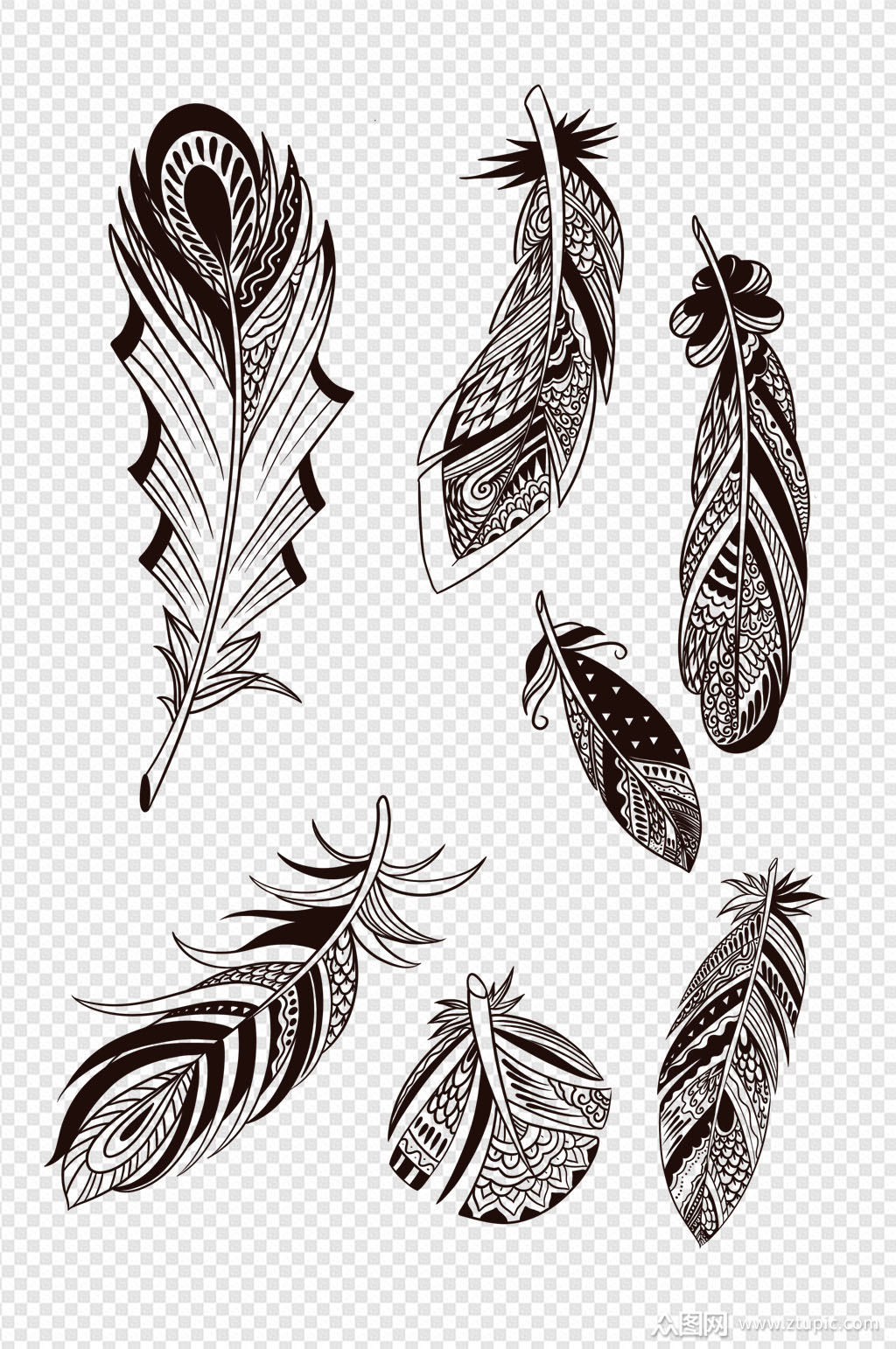 手绘羽毛线条画素材模板下载-编号623700-众图网
