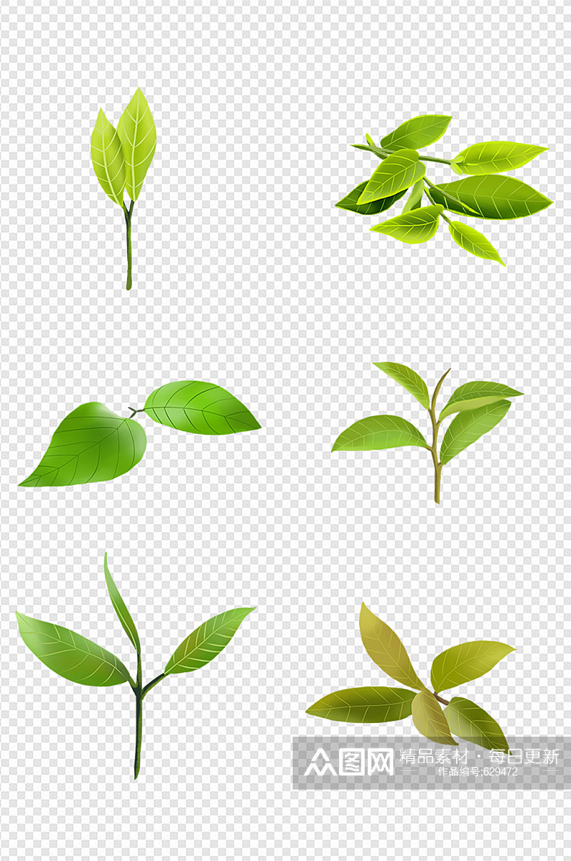 茶叶生长绿叶元素素材
