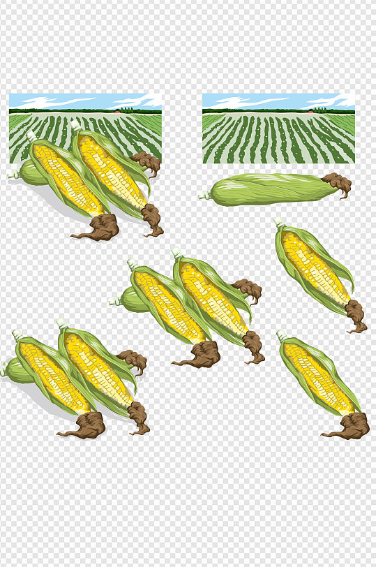 手绘玉米地卡通素材