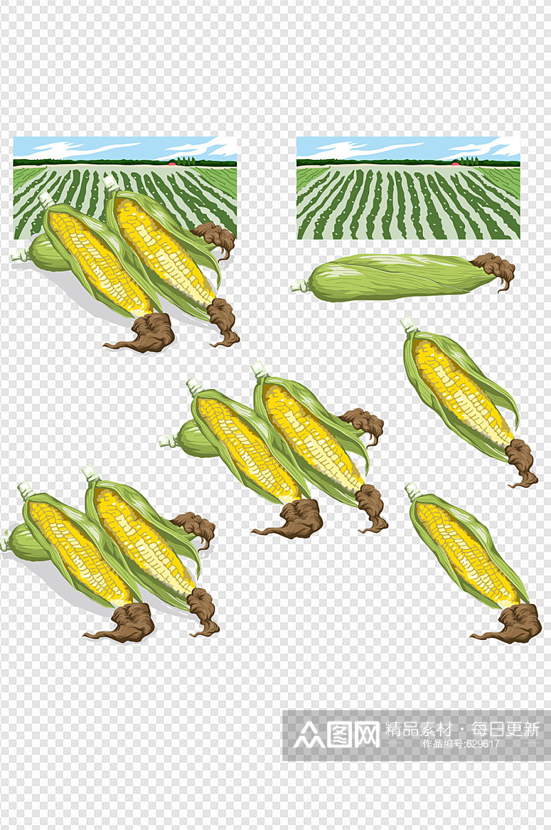 手绘玉米地卡通素材素材