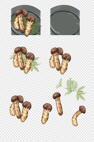 手绘蘑菇平菇素材