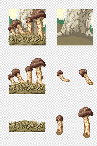 卡通手绘蘑菇平菇素材