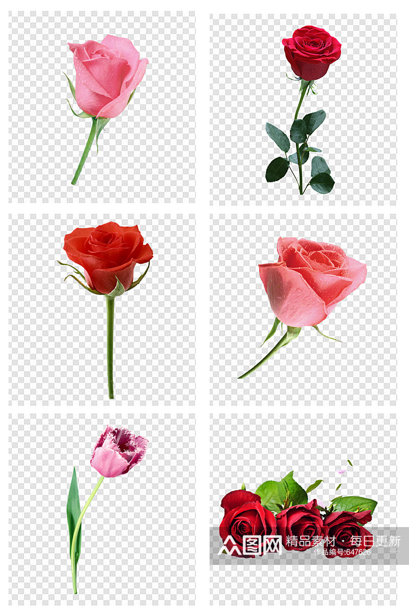 手绘鲜花情人节玫瑰花朵素材素材
