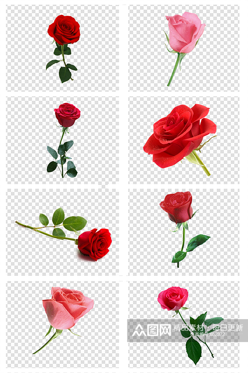情人节玫瑰花素材素材
