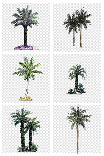 水彩手绘椰子树素材