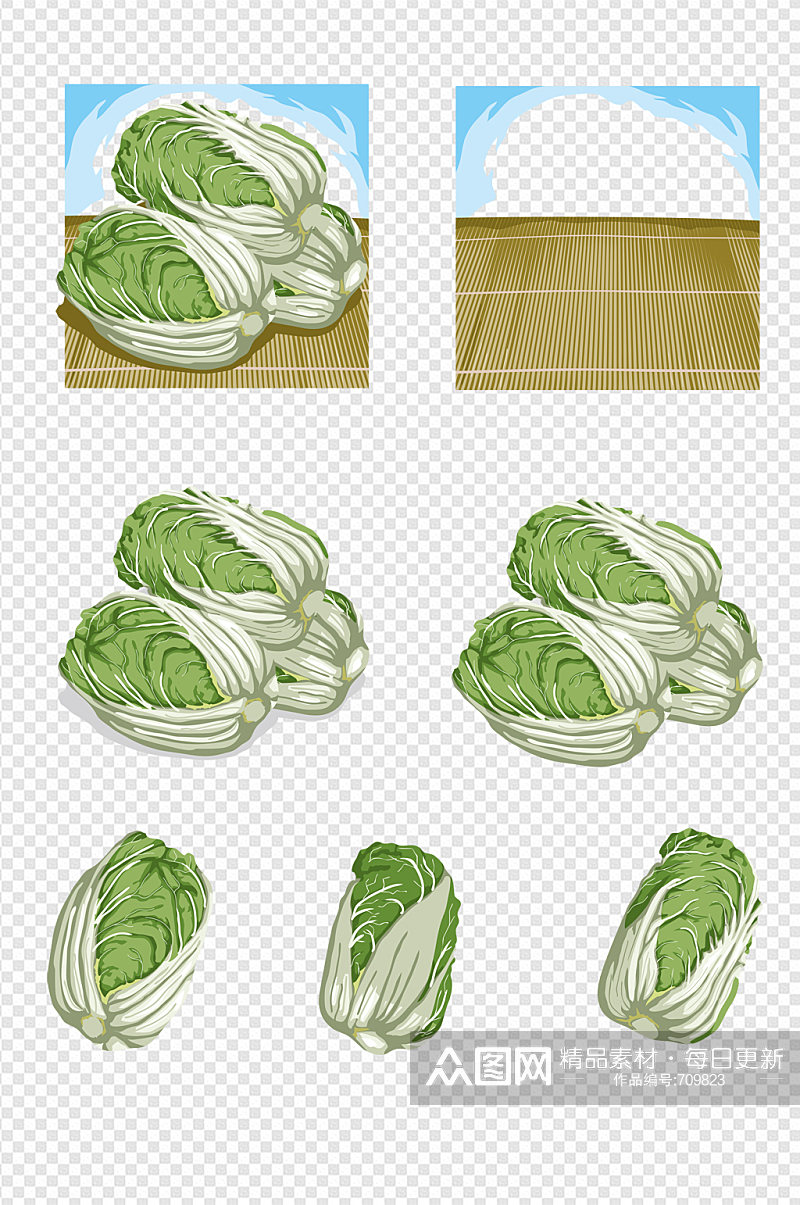 手绘蔬菜白菜素材素材