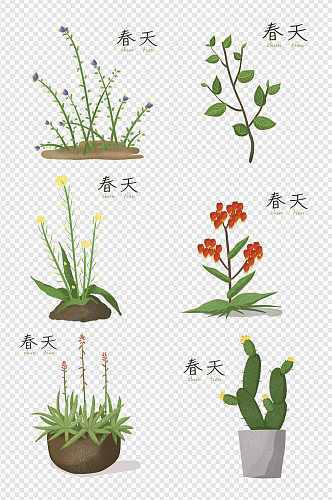 春天植物手绘花朵绿色盆栽