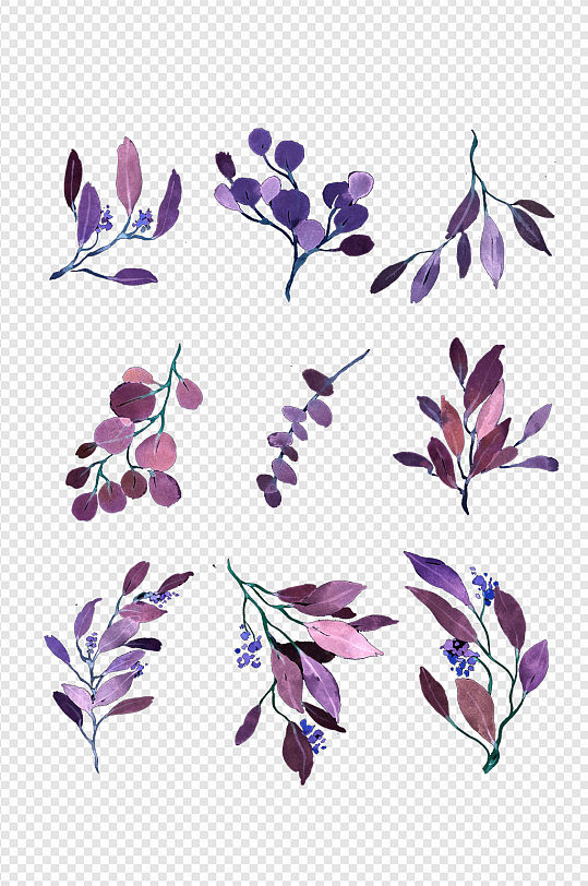 尤加利叶叶子素材