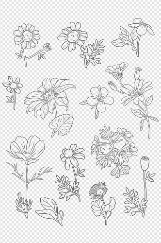 植物装饰线条手绘纹理花卉小清新元素