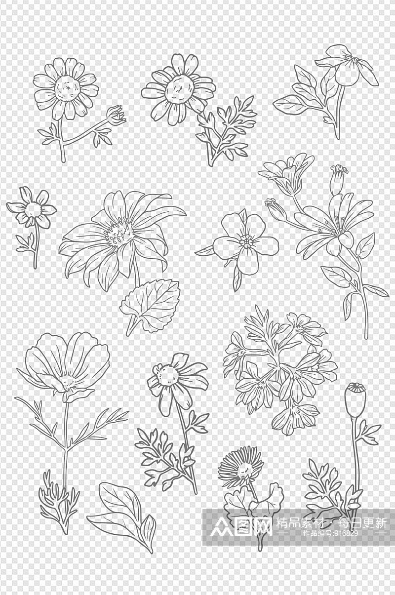 植物装饰线条手绘纹理花卉小清新元素素材