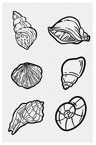 卡通手绘海螺海洋生物贝壳简笔画线描黑