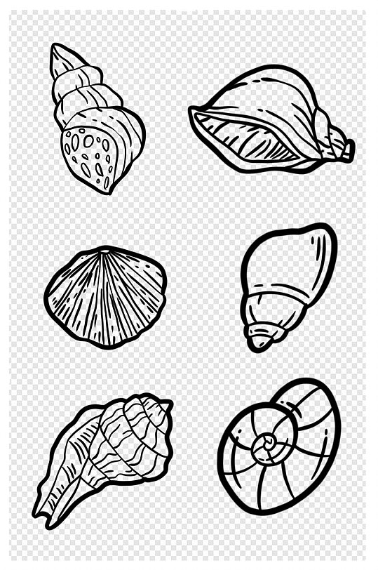 卡通手绘海螺海洋生物贝壳简笔画线描黑