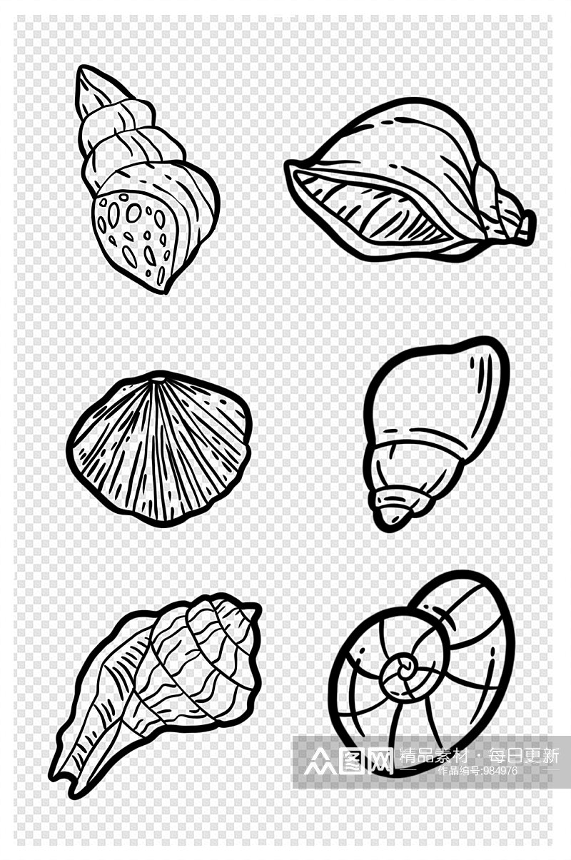 卡通手绘海螺海洋生物贝壳简笔画线描黑素材
