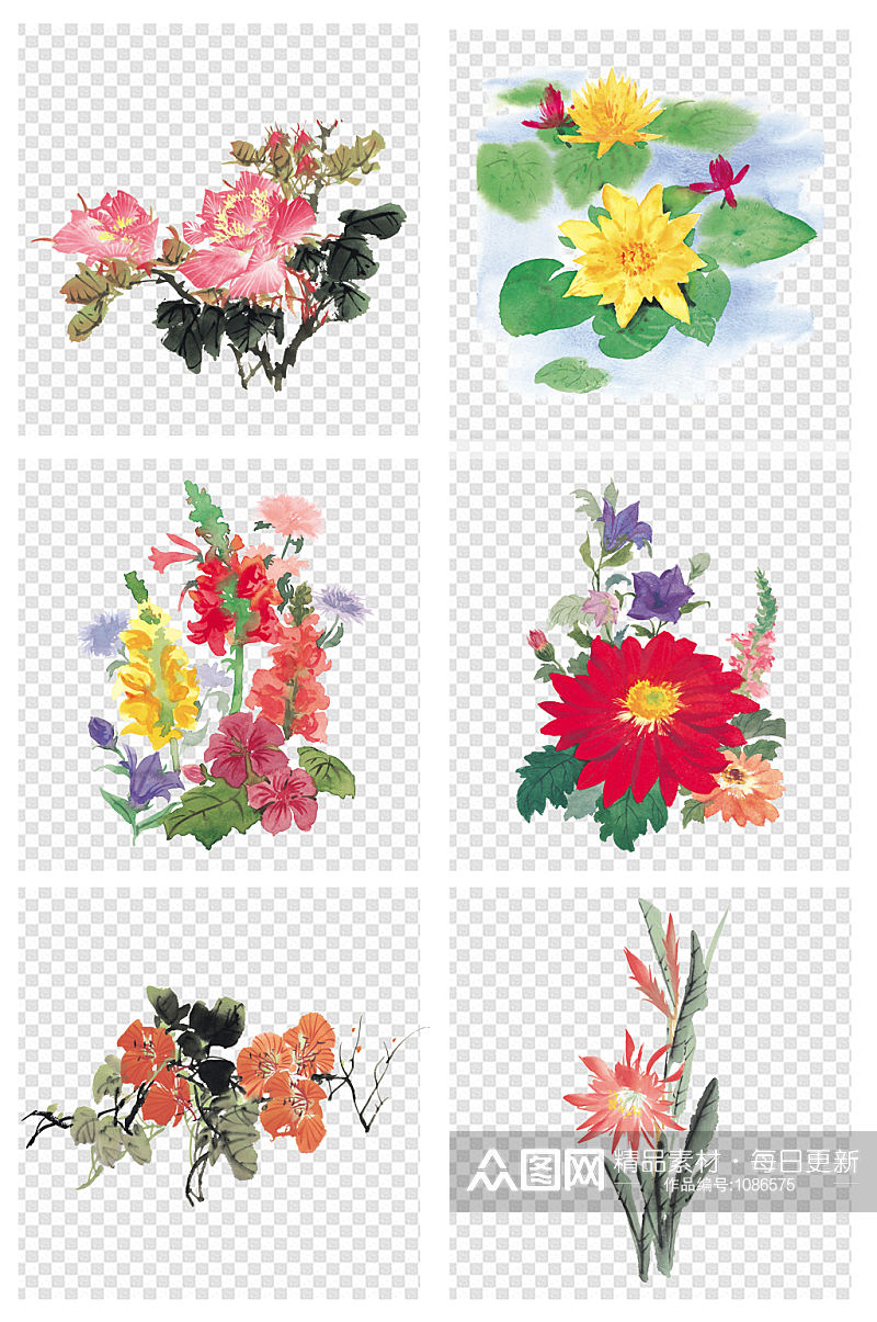 国画水墨画花卉花朵素材素材