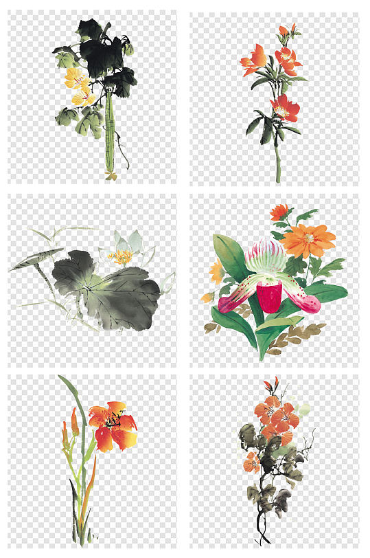 国画水墨画花卉花朵素材