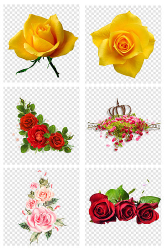 黄色浪漫玫瑰花朵素材