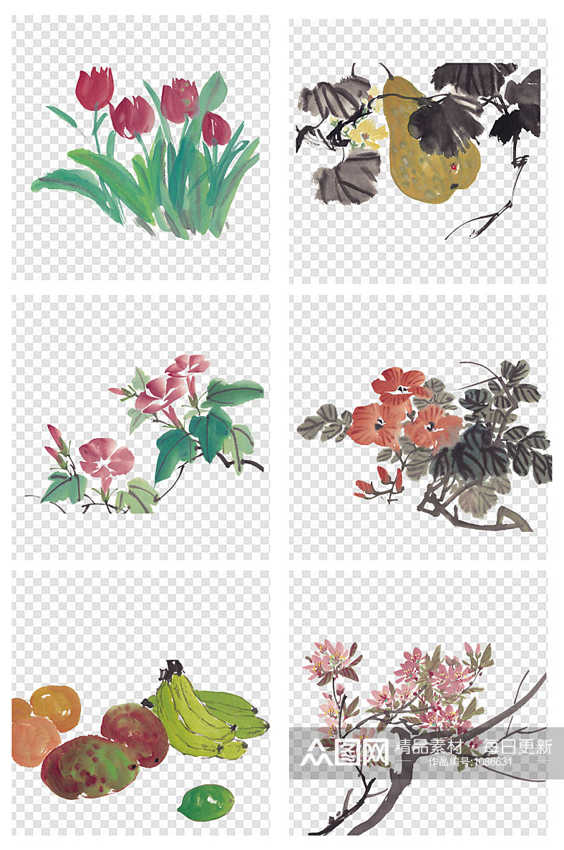 手绘国画水墨画花朵花卉素材5素材