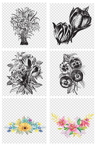 素描植物叶叶子花卉背景创意设计