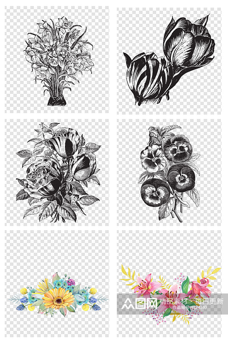 素描植物叶叶子花卉背景创意设计素材