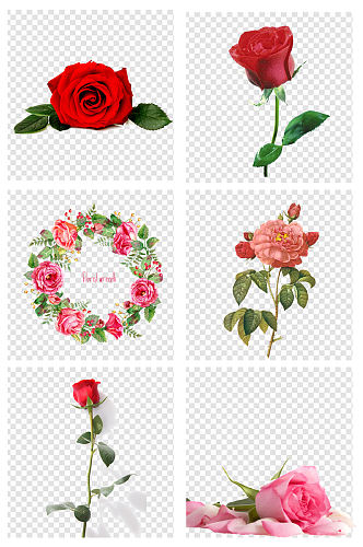 简约手绘玫瑰花朵爱情元素