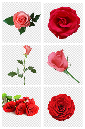 简约手绘红玫瑰花朵爱情元素