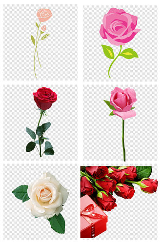 玫瑰花朵爱情元素