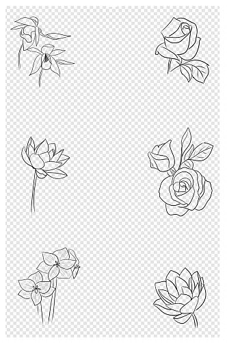 手绘玫瑰花朵黑白线条花卉图片