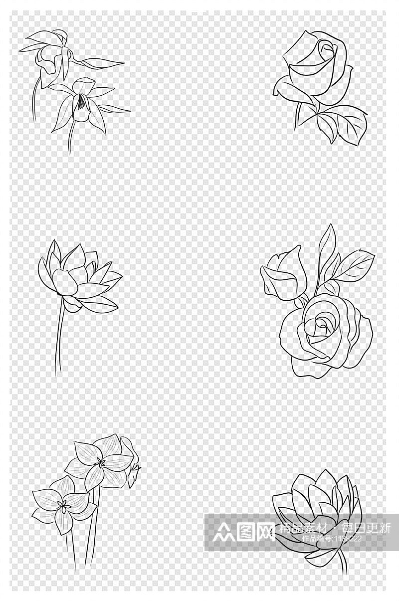 手绘玫瑰花朵黑白线条花卉图片素材