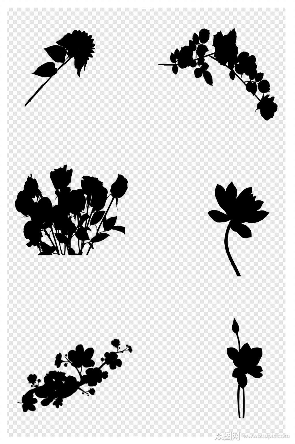 野生花卉花朵剪影