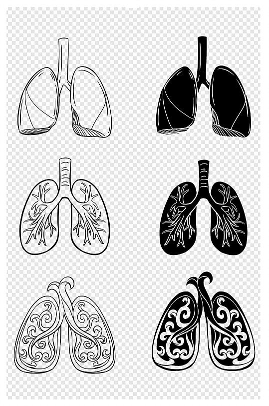 手绘人体器官肺部黑白线条 肺部肺树素材