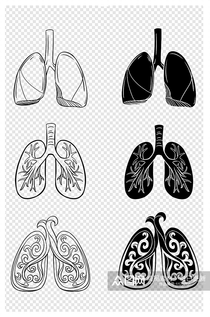 手绘人体器官肺部黑白线条 肺部肺树素材素材