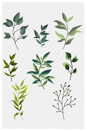 手绘插画绿叶植物装饰