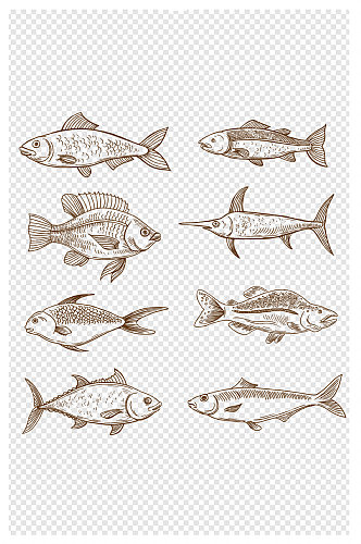 手绘各种各样的鱼线描鱼