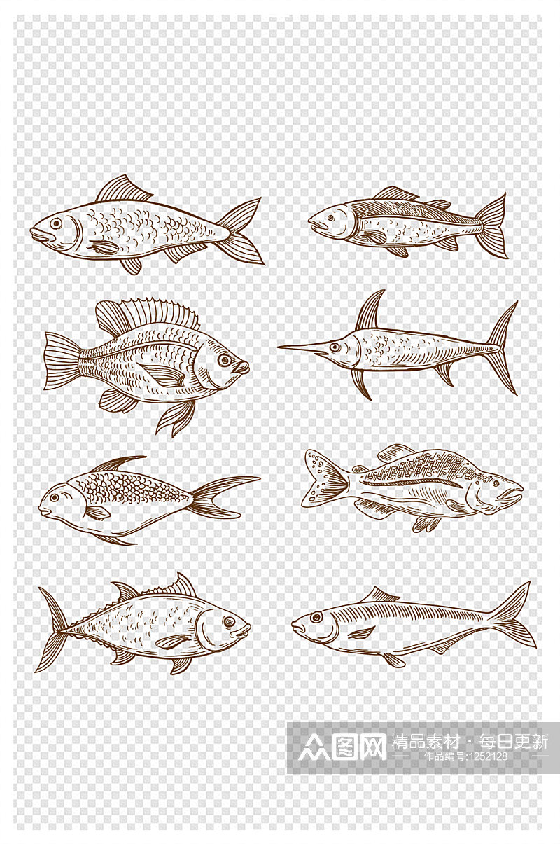 手绘各种各样的鱼线描鱼素材