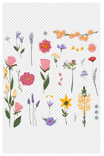 手绘各种花卉花朵植物叶子免扣元素