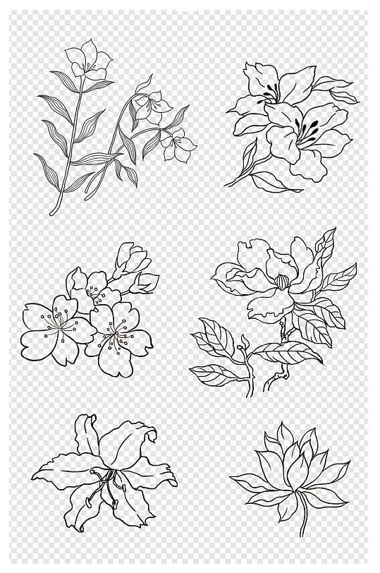 线条胡白描画花卉花朵素材