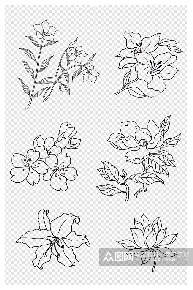 线条胡白描画花卉花朵素材素材
