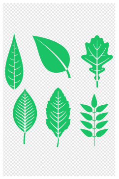 树叶绿叶树叶元素各种树叶叶子