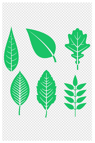 树叶绿叶树叶元素各种树叶叶子