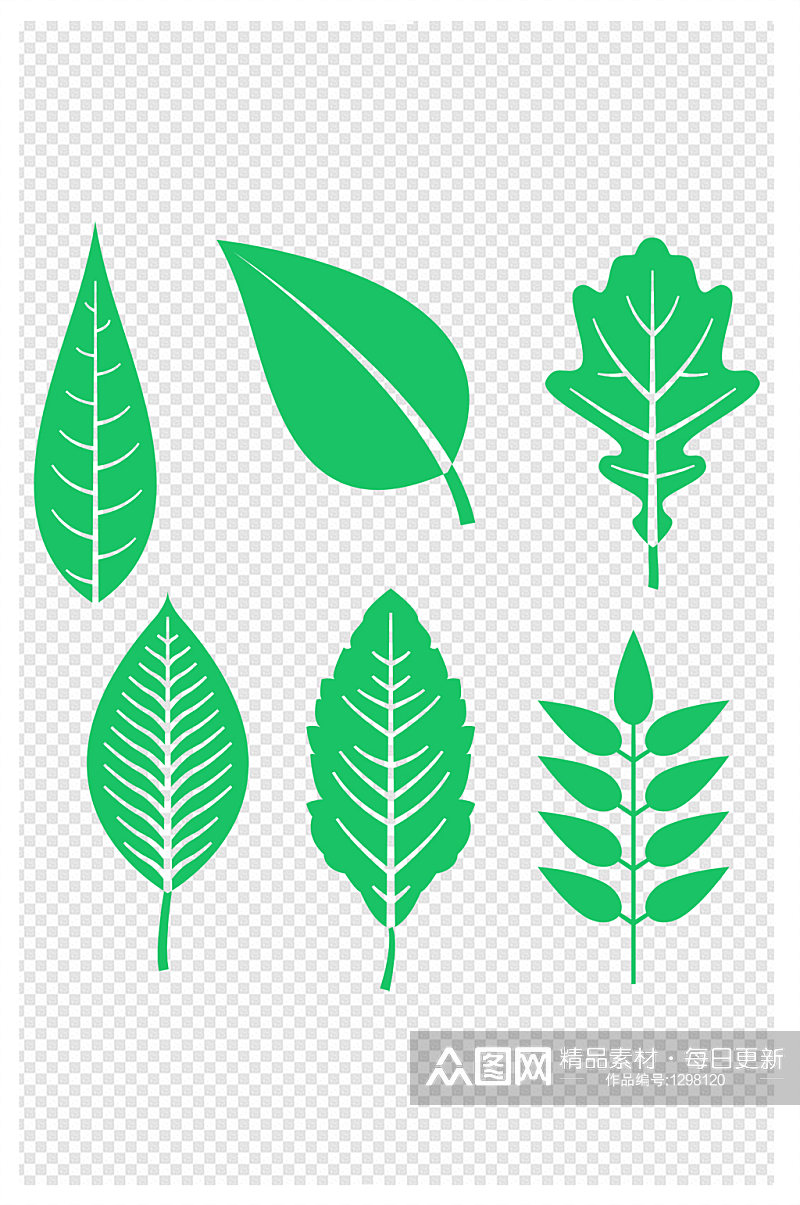 树叶绿叶树叶元素各种树叶叶子素材