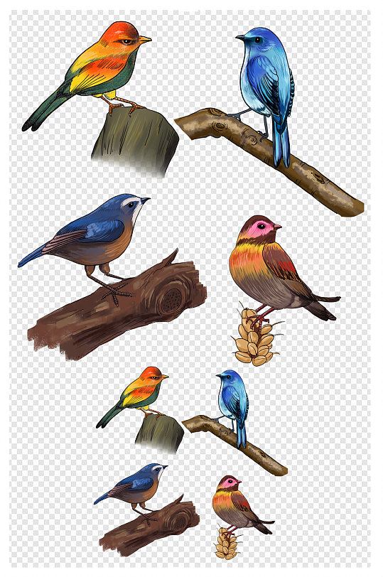 手绘小鸟动物素材