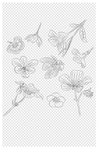 花朵手绘黑白线稿