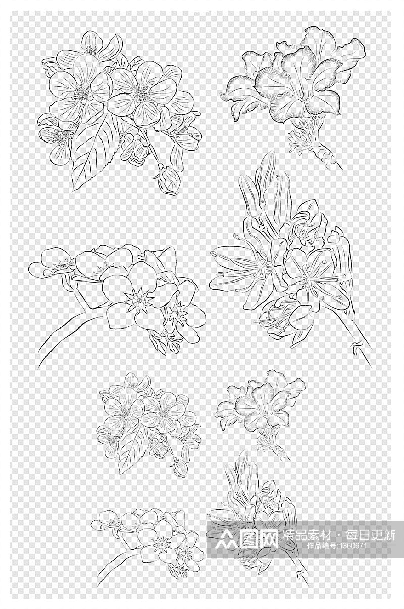 植物花朵手绘线稿素材